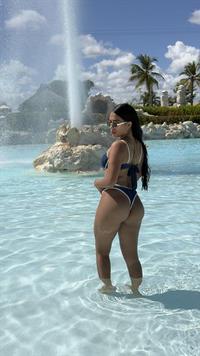 Vanessa
