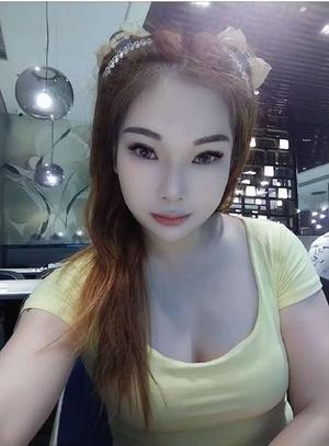 Little Fox 
